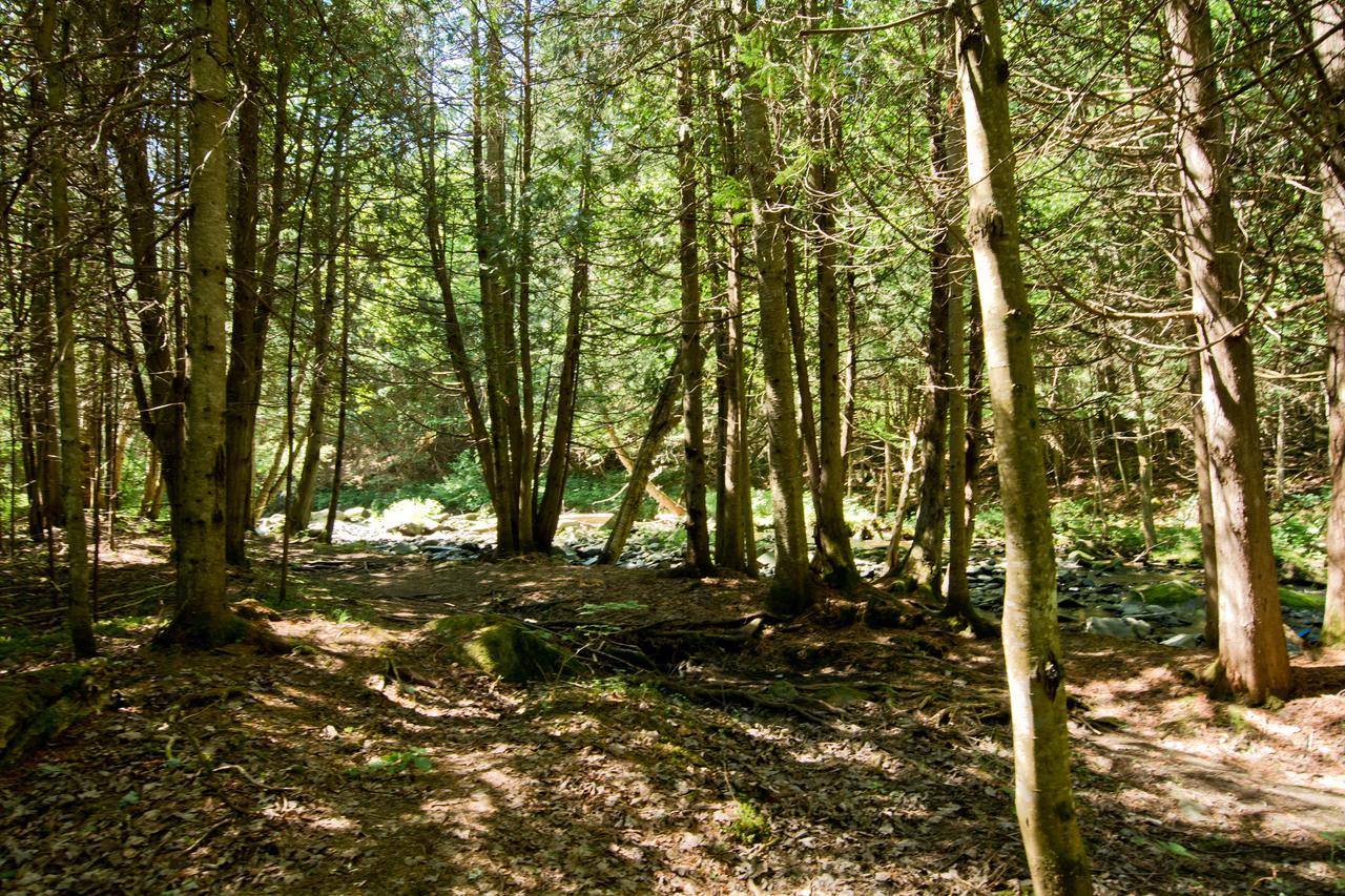 Camping Chalets Spas Pignons Rouges Saint Romain Exterior foto